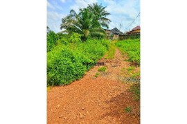 Land for sale at Hasting 